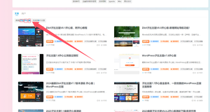 wp分词搜索，关键词搜索匹配WordPress插件-网站 SEO 优化技巧 - 兵兵分享兵兵分享